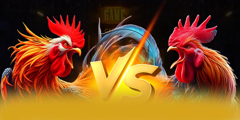 Tìm hiểu 8XBET - Cổng game bài chất lượng tại Việt Nam
